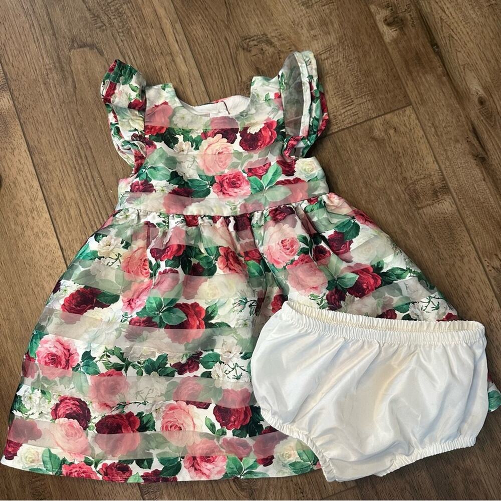 Pastourelle Pippa & Julie Floral Organza Dress w/ Bloomers, Flutter Sleeve, 24m